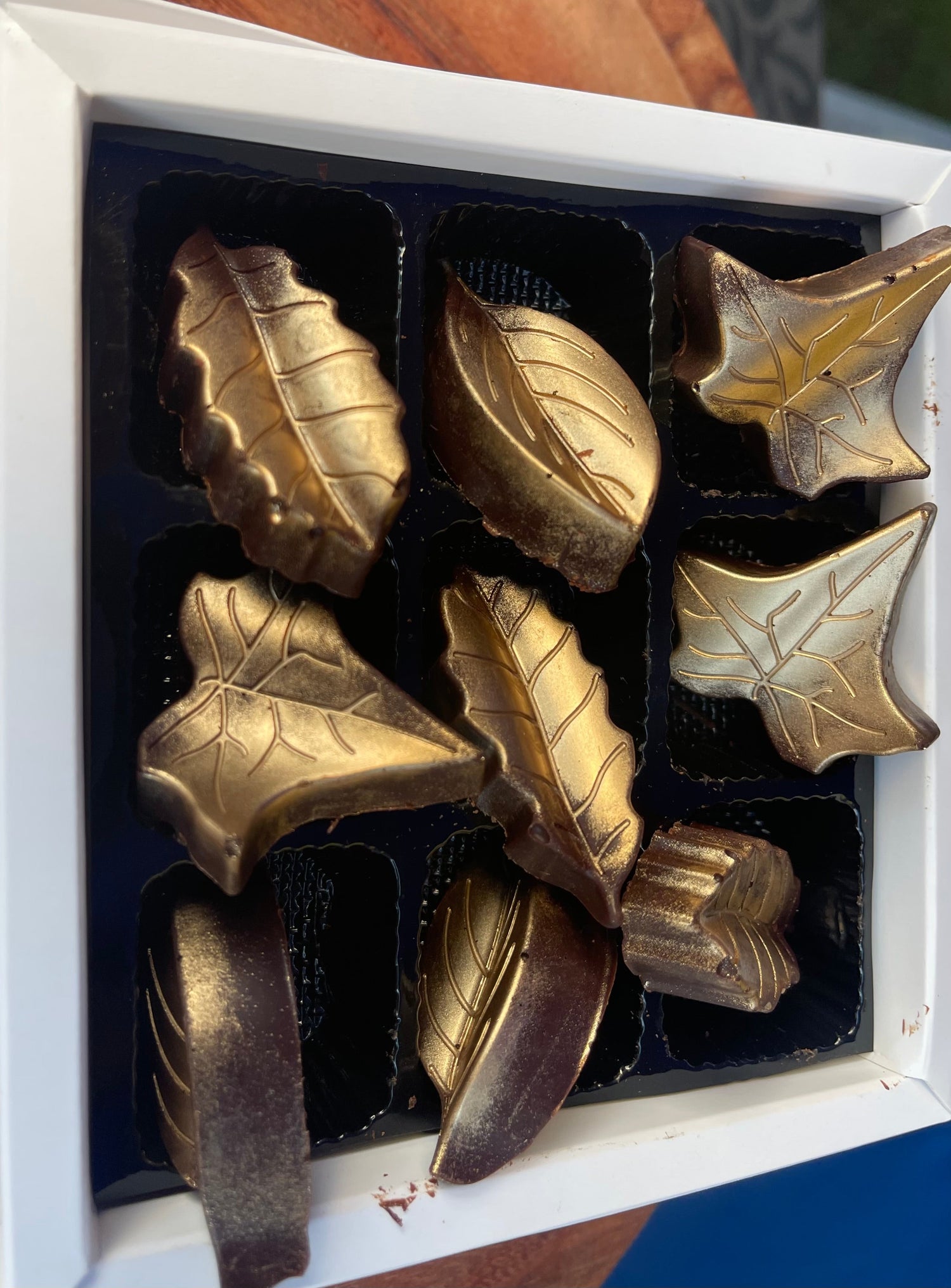 70% Cacao Design Chocolate Leaves solid pieces