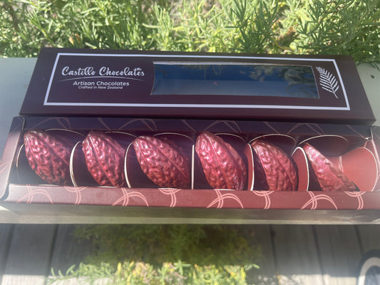 Belgian Dark Chocolate with cacao shape